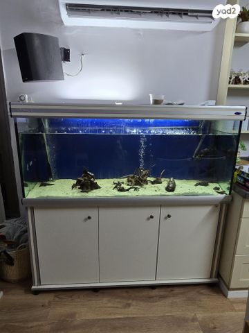 תמונת מודעה - חיות מחמד