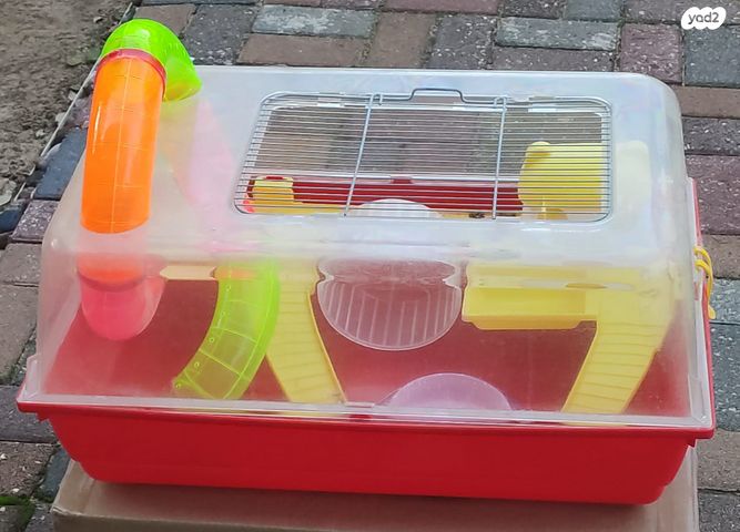 תמונת מודעה - חיות מחמד