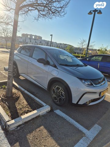 בי.ווי.די דולפין