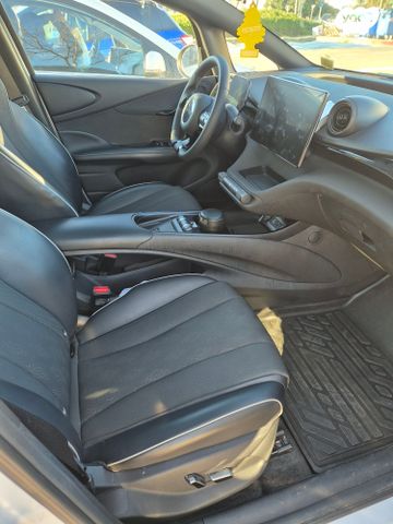 בי.ווי.די דולפין