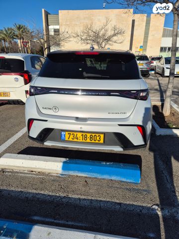 בי.ווי.די דולפין