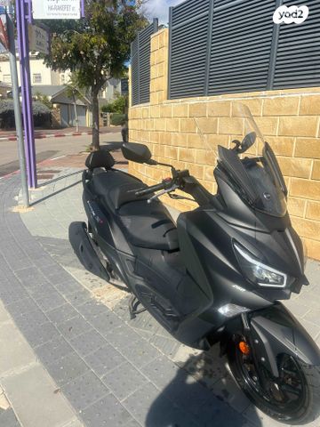 סאן יאנג ג'וי-מקס Z-250