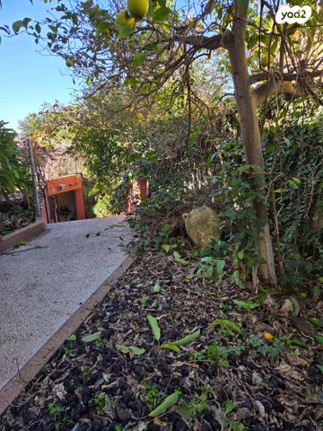 בית פרטי/ קוטג', שדמה 45, קציר, קציר