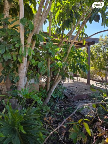 בית פרטי/ קוטג', שדמה 45, קציר, קציר