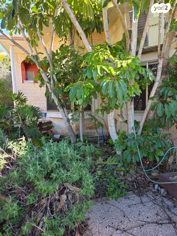 בית פרטי/ קוטג', שדמה 45, קציר, קציר