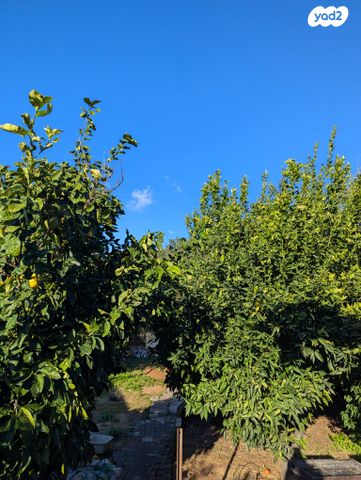 בית פרטי/ קוטג', יוסף הנשיא 12, שיכוני המזרח, ראשון לציון