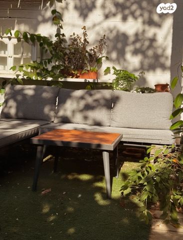 צבי ארקין 21