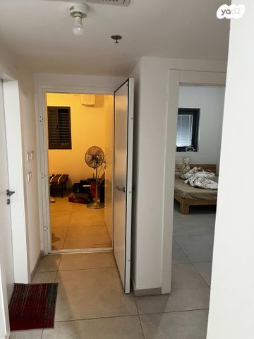 אמנון ליפקין שחק 8