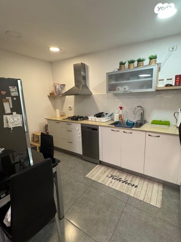 שבטי ישראל 31