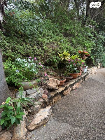 דירה, בית לחם, כרמל צרפתי, חיפה