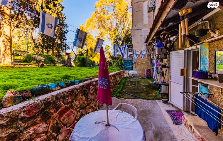 אינטרנשיונל 50