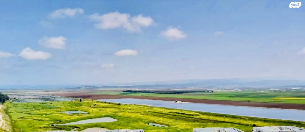 גג/ פנטהאוז, נעמי שמר, נאות אפק, אפקה, קרית ביאליק