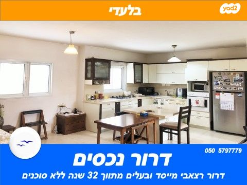 דוד וולפסון 