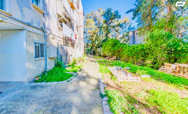 דירה, אינטרנשיונל 50, רמות רמז, חיפה