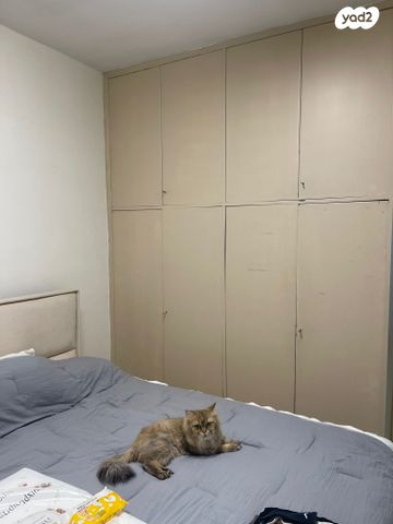 דירה, שדרות נורדאו, הצפון הישן - צפון, תל אביב יפו