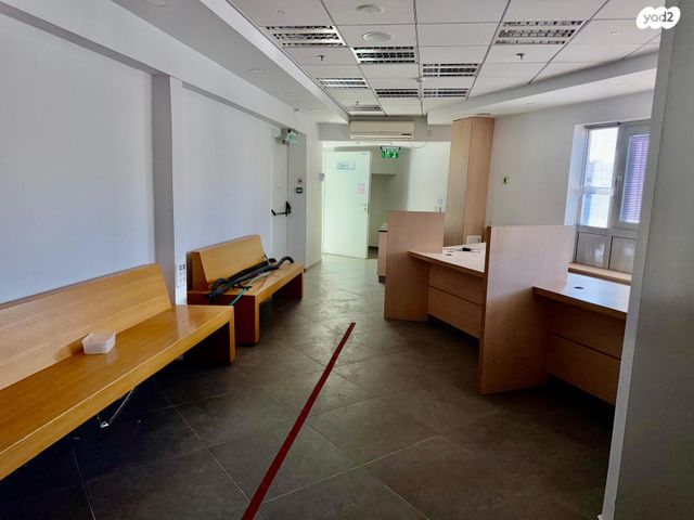 שדרות התמרים 