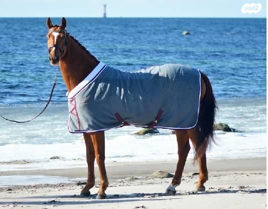 תמונת מודעה - חיות מחמד