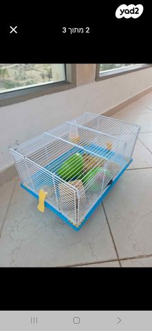 תמונת מודעה - חיות מחמד