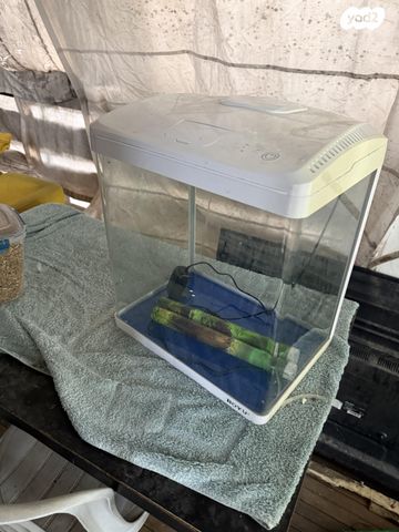 תמונת מודעה - חיות מחמד