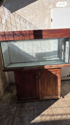 תמונת מודעה - חיות מחמד