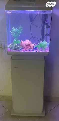 תמונת מודעה - חיות מחמד