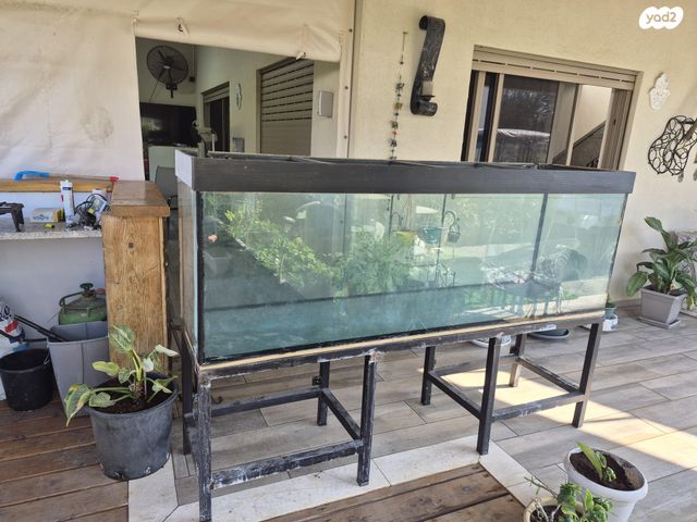 תמונת מודעה - חיות מחמד