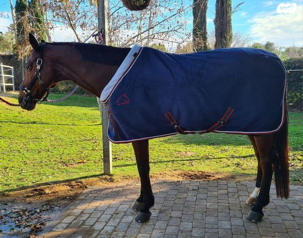 אביזרים | שמיכות