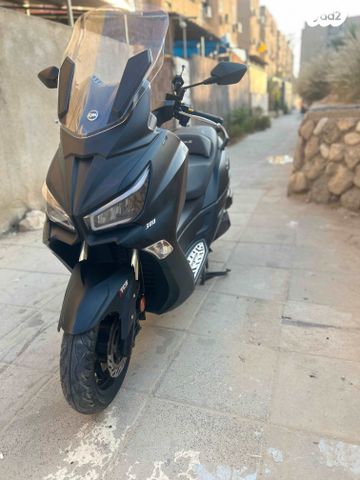 סאן יאנג ג'וי-מקס Z-300