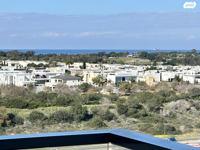 שדרות דוד המלך 44