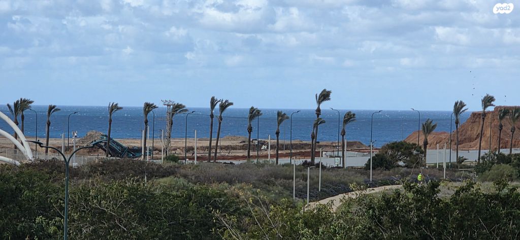 אירוס הארגמן 57