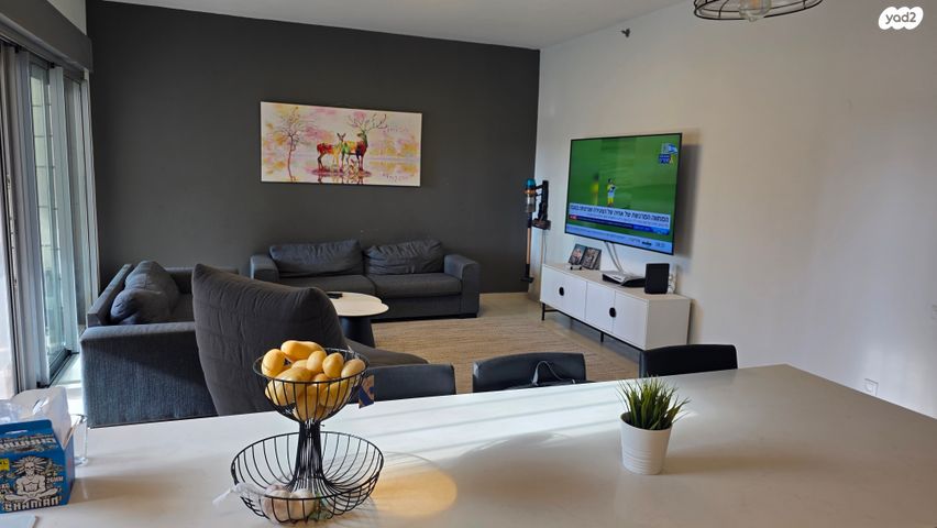 שייקה אופיר 11