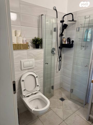 חיים הרצוג 2