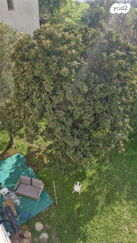 גג/ פנטהאוז, האיריס 8, טבעון הוותיקה, קרית טבעון