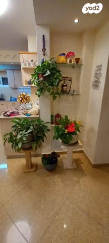 דירת גן, חלקת יואב 4, הדקל, ביתר עילית