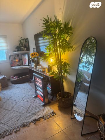 דירה, ההשכלה 14, גבעת נשר, נשר