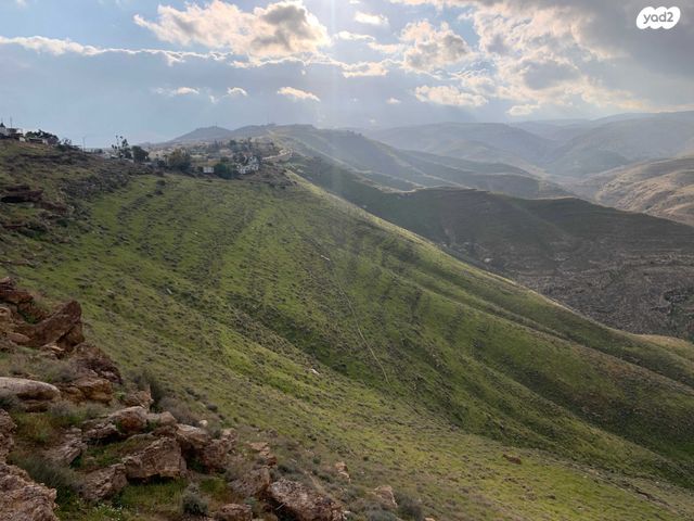 יחידת דיור, כפות תמרים 2, כפר אדומים, כפר אדומים
