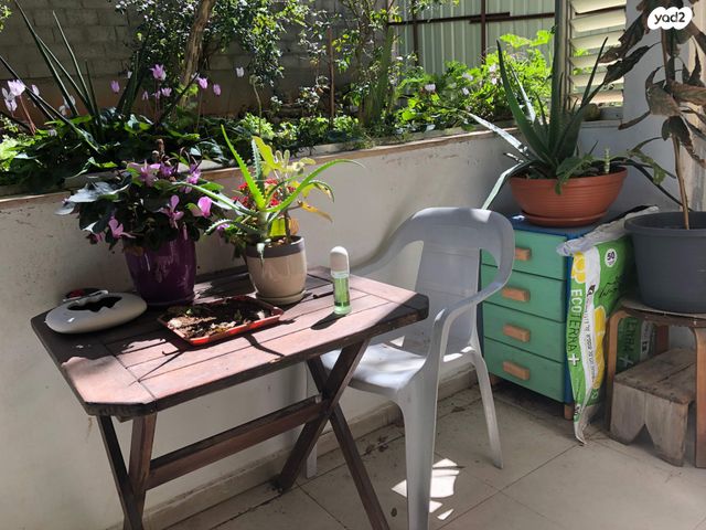 דירה, כלניות 7, כבירים, חיפה