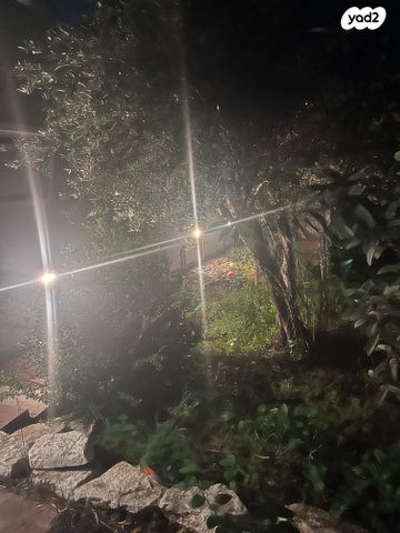 יחידת דיור, כנסת ישראל 48, שעריה, פתח תקווה