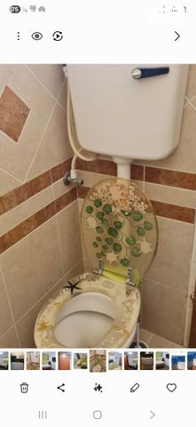 בית פרטי/ קוטג', מרבד הקסמים 7, שכונה ה', באר שבע