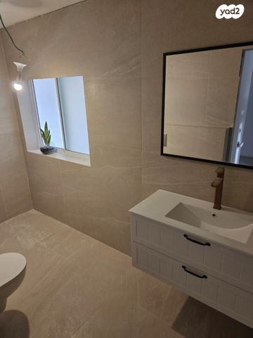 אלכסנדר זייד 48