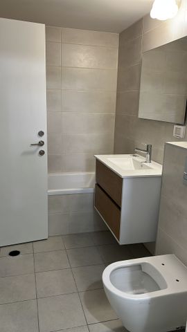 יערות הכרמל 20