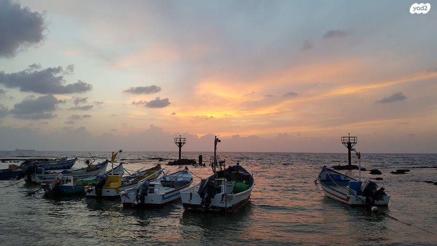 גג/ פנטהאוז, אלטנטורה 12, ג'סר א זרקא, ג'סר א זרקא