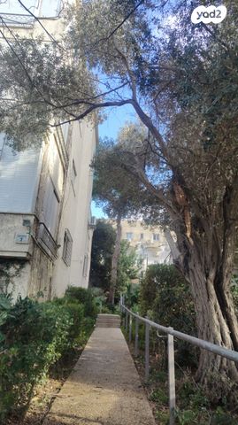 דירה, כלניות 7, כבירים, חיפה