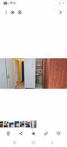 מרבד הקסמים 7