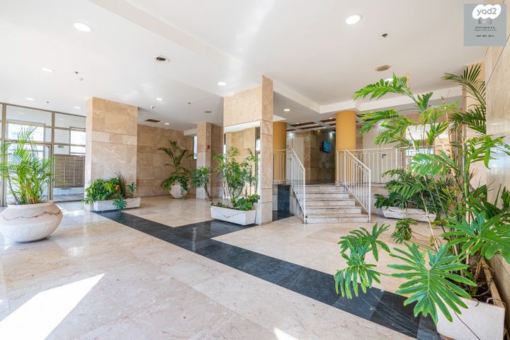 ארזי הלבנון 22