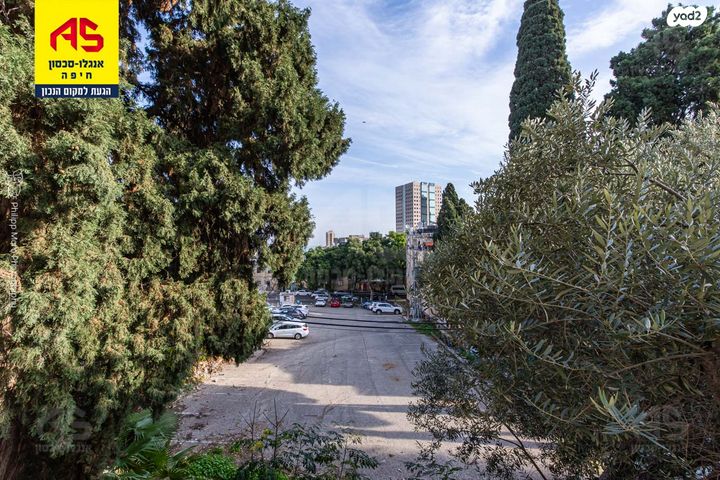 דירה, הרצליה, חיפה