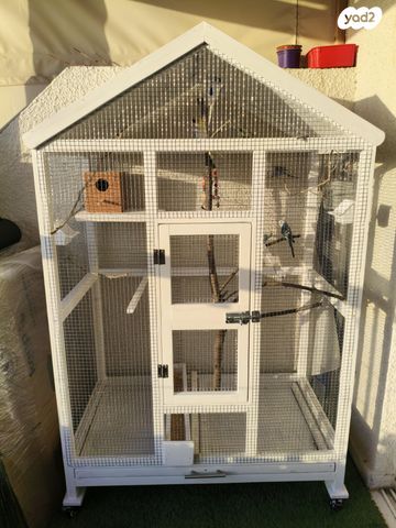 תמונת מודעה - חיות מחמד