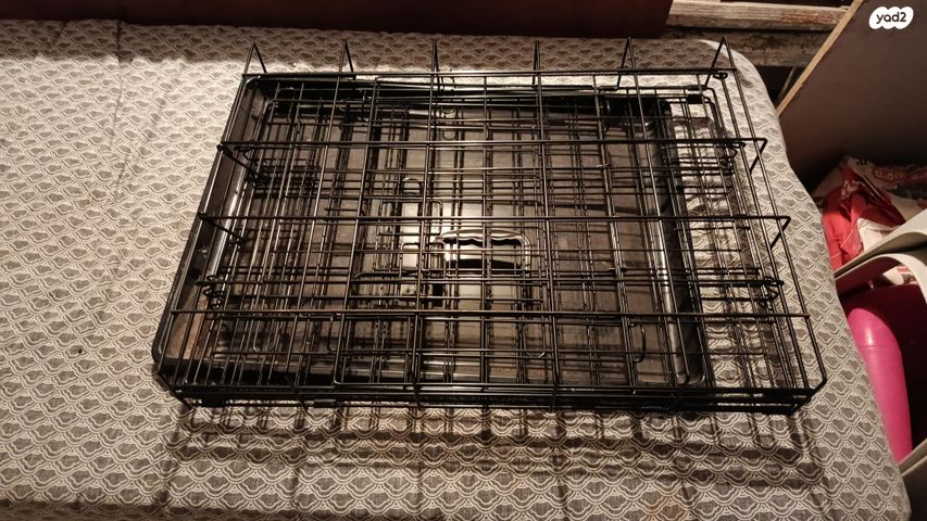 תמונת מודעה - חיות מחמד