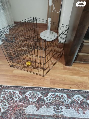 תמונת מודעה - חיות מחמד