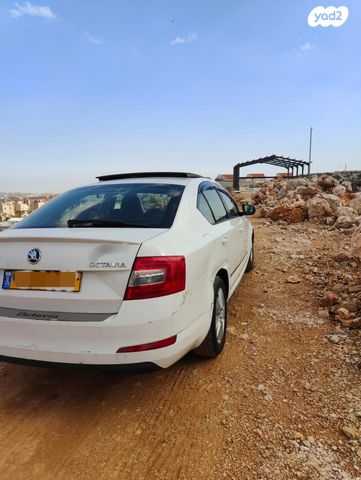 סקודה אוקטביה 